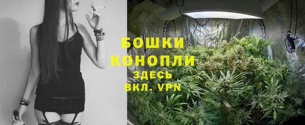 ПСИЛОЦИБИНОВЫЕ ГРИБЫ Балабаново